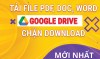 Cách download file PDF bị chặn tải từ Google Drive miễn phí – Update 04/03/2022